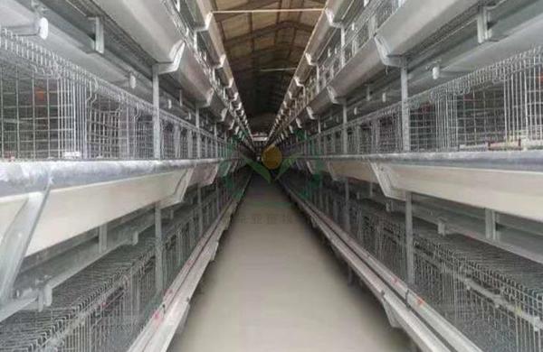养鸡设备 鸡笼厂