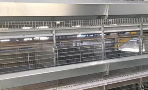 养鸡设备 鸡笼厂